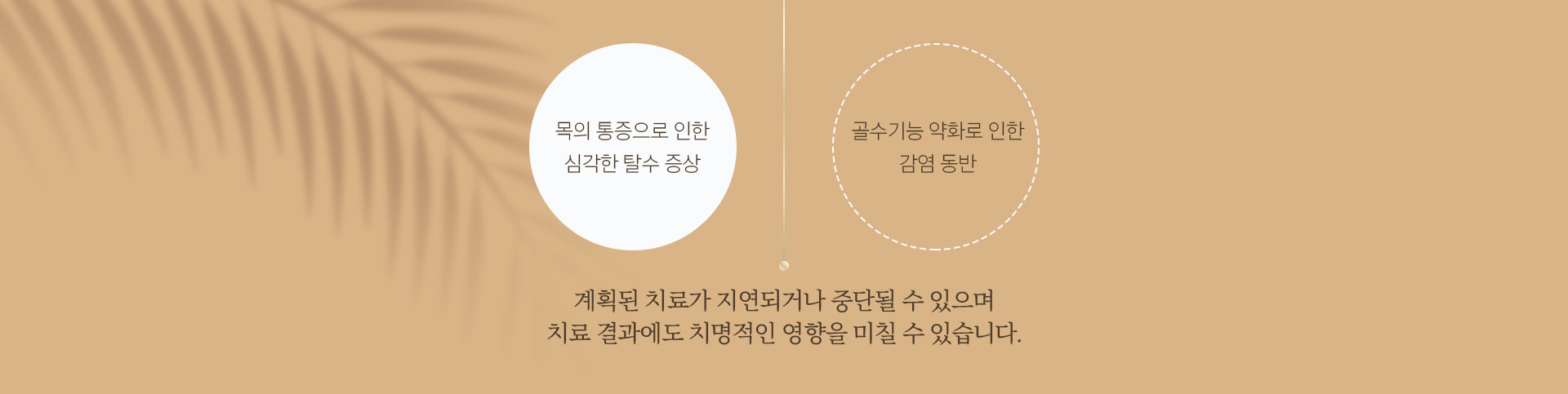 기력케어 증상