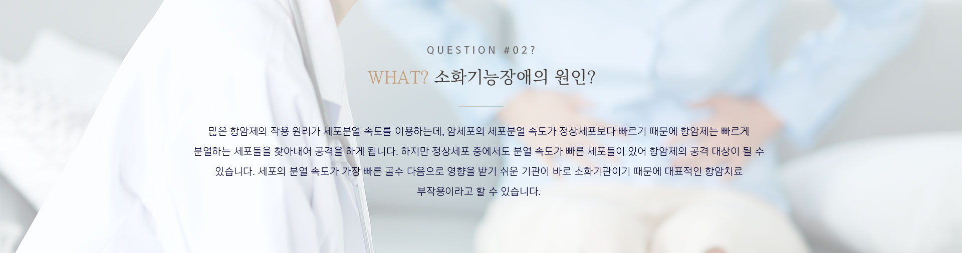 소화기능장애 개선 원인