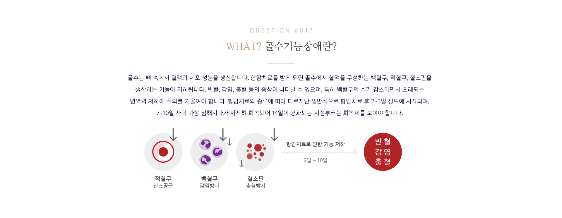 골수기능장애 개선 정의