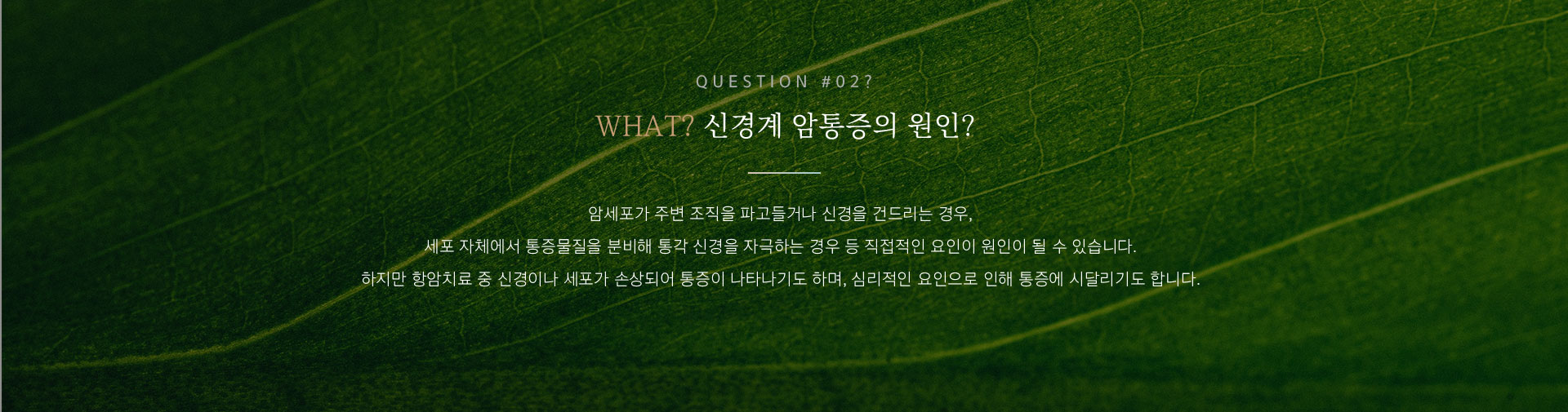 신경계 암통증 개선 원인